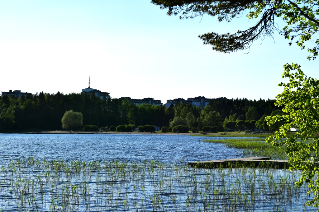5 lieux à voir à Umeå, Suède