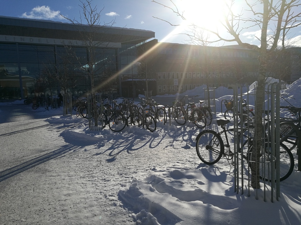 PETITS CONSEILS #2 | Une fois à Umeå : choisir son mode de transport.